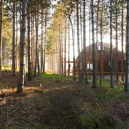 The Forest Sea Dome Villa *