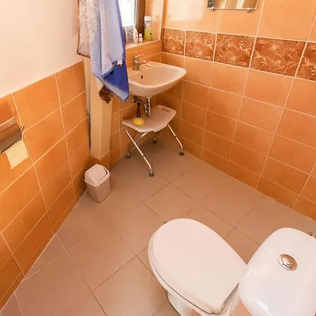 The Forest Sea Dome Varna