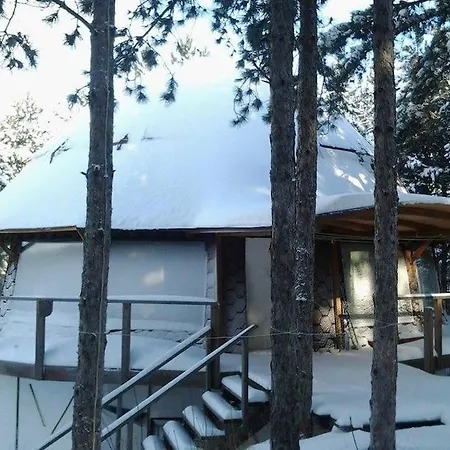 The Forest Sea Dome Vila