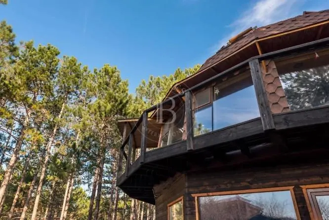 The Forest Sea Dome Вилла