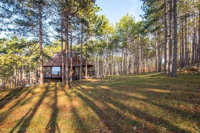The Forest Sea Dome * Варна