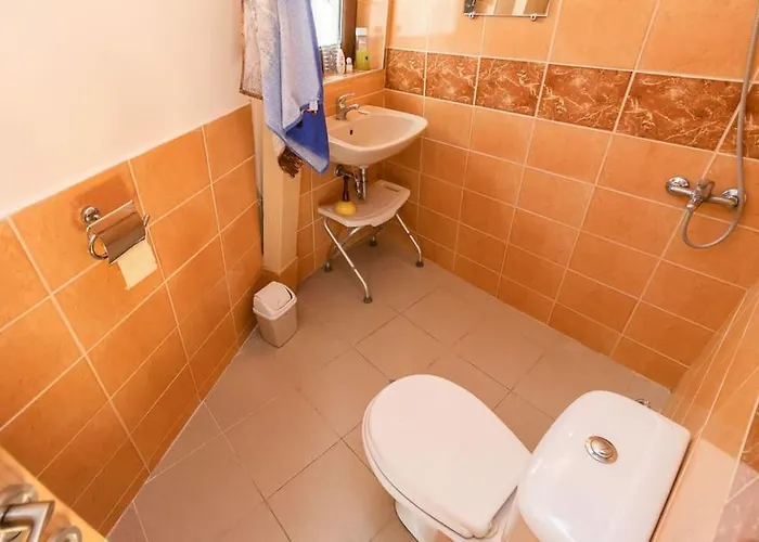 The Forest Sea Dome Варна