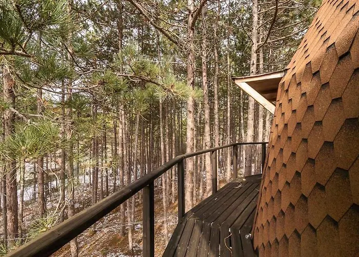 The Forest Sea Dome Вилла Варна