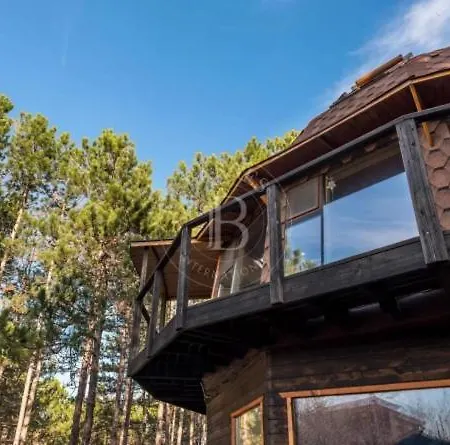 The Forest Sea Dome Vilă