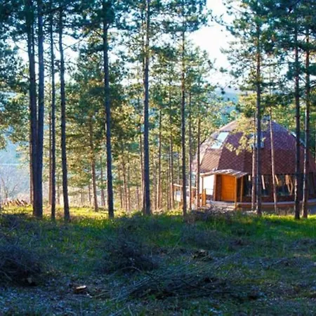 The Forest Sea Dome Varna