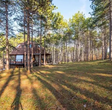 The Forest Sea Dome * Varna