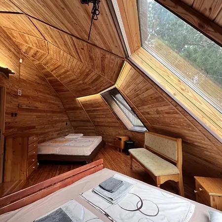 The Forest Sea Dome Villa Warna