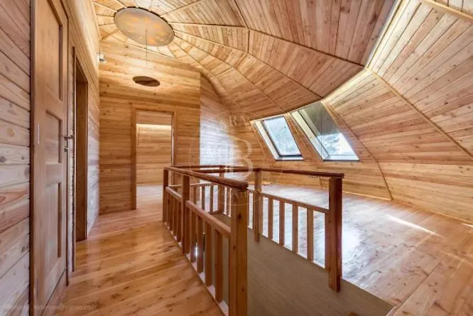 The Forest Sea Dome Warna