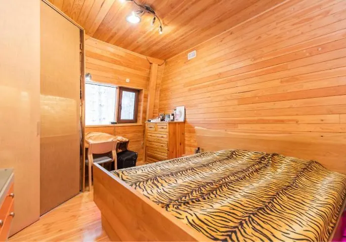 The Forest Sea Dome Warna