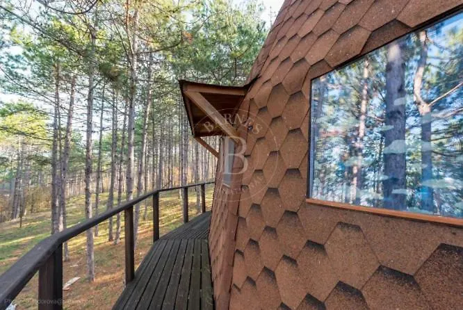 Willa The Forest Sea Dome Warna