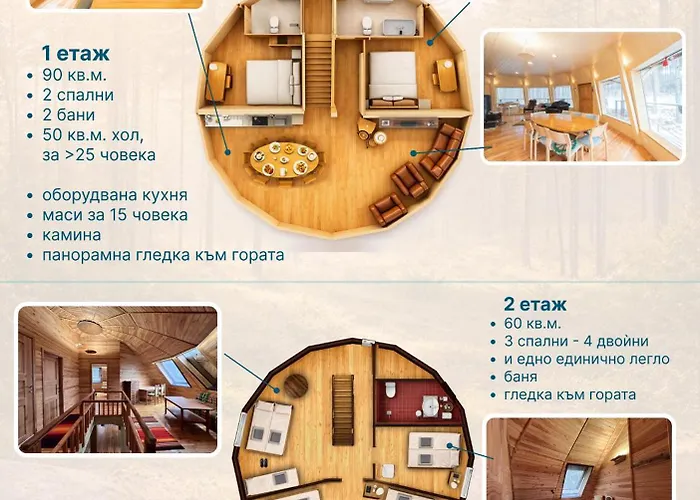 The Forest Sea Dome * Warna