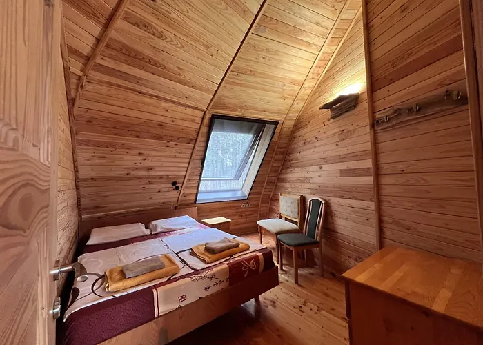 The Forest Sea Dome * Warna