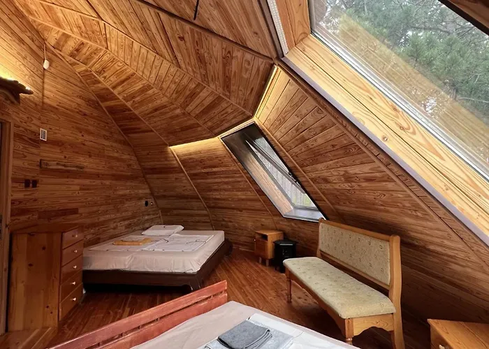 The Forest Sea Dome Villa Warna